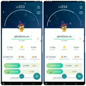 Shiny Pichu Witch Hat